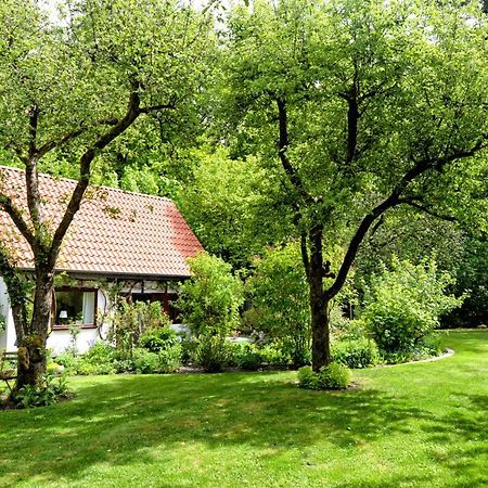 Kleines Haus Βίλα Ganderkesee Εξωτερικό φωτογραφία